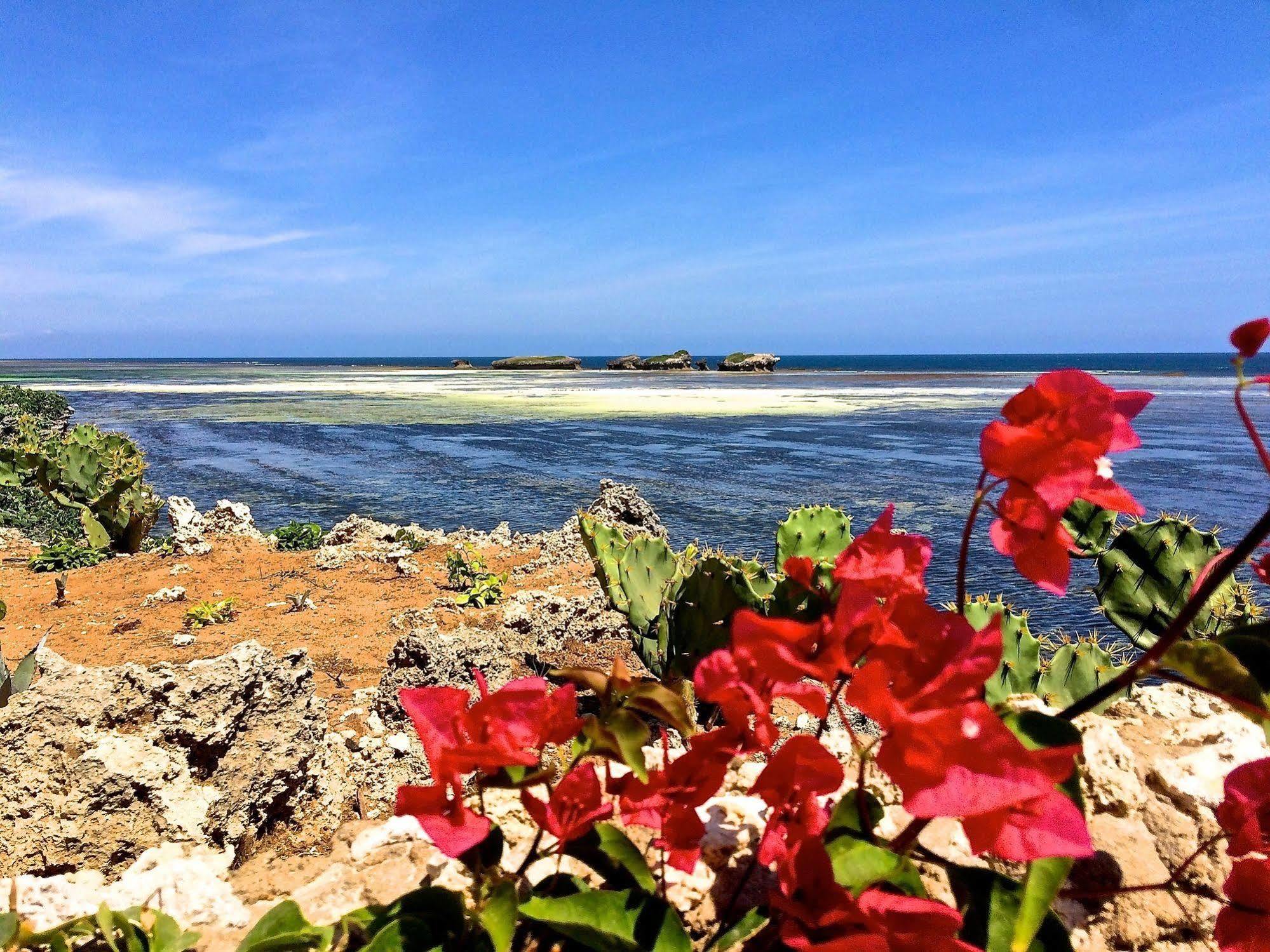Mawe Resort Watamu Boutique Hotel מראה חיצוני תמונה
