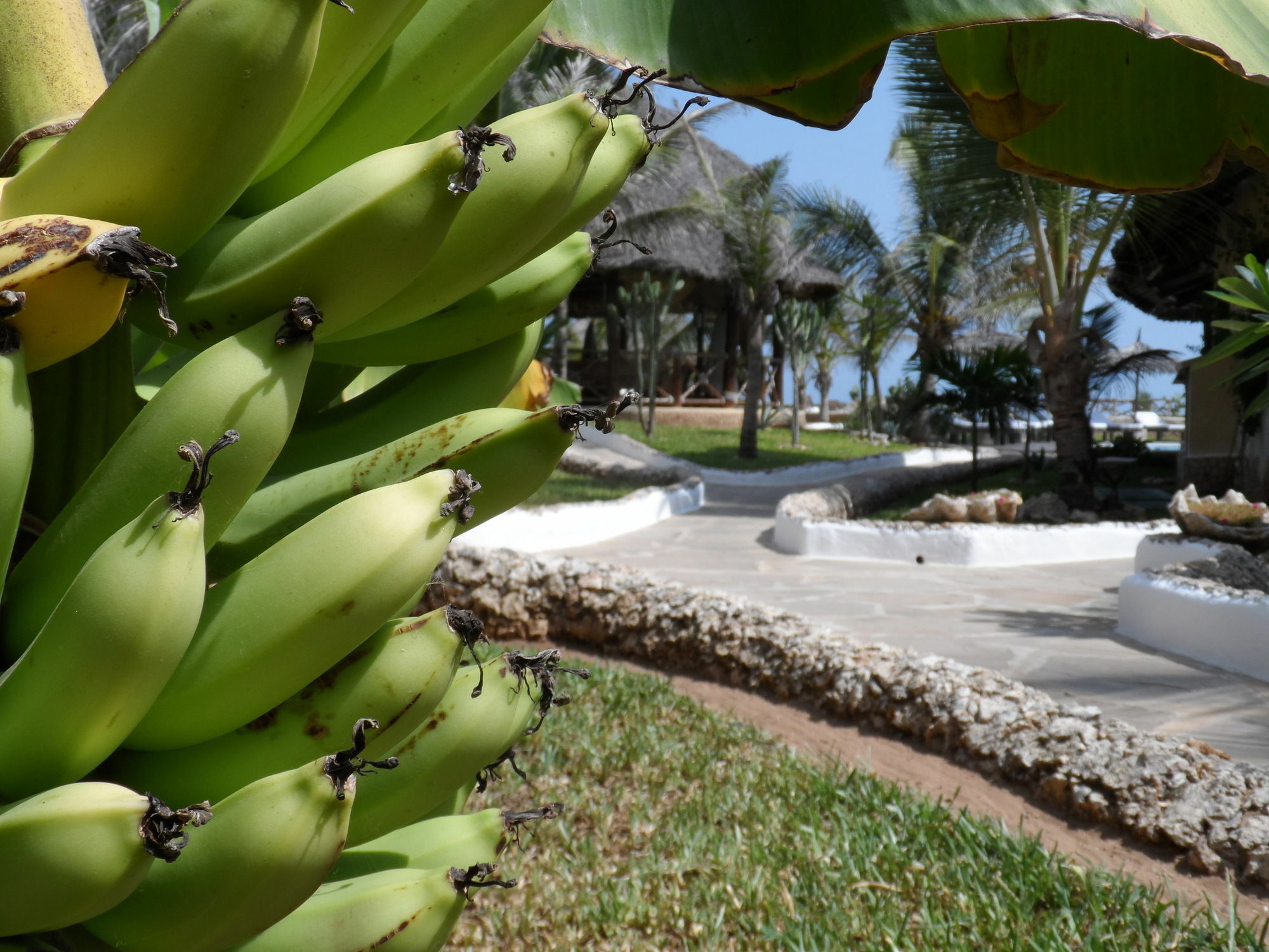 Mawe Resort Watamu Boutique Hotel מראה חיצוני תמונה